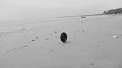 «Фильм для воображаемой музыки»,&nbsp;2014