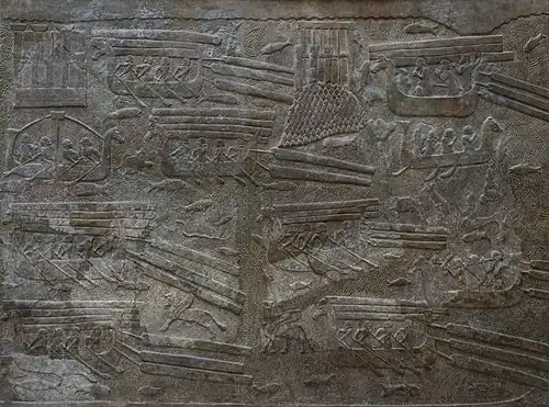 Перевозка кедра (AO 19889)