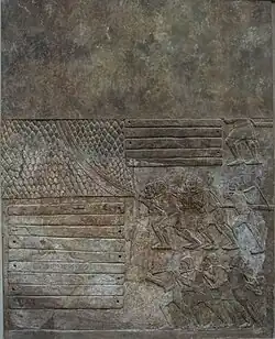 Перевозка кедра (AO 19891)