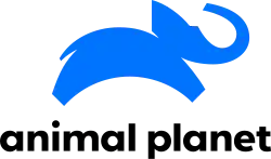 Изображение логотипа