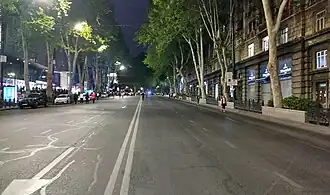 Проспект Шота Руставели в Тбилиси при перекрытии автомобильного движения во время протестов в мае 2024 года