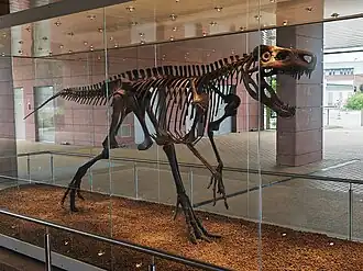 Реконструкция скелета