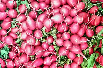 Корнеплоды редиса