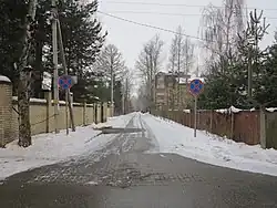 Вид от Малой Десятинной улицы