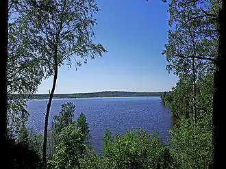 Залив Сярюнлахти. Фото сделано с восточного берега. Вдали при увеличении можно увидеть пляж «Венеция» и заболоченную территорию