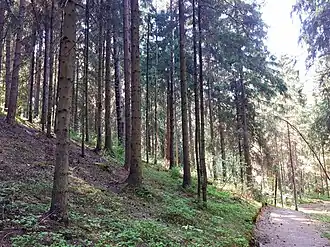 «Токсовские высоты»