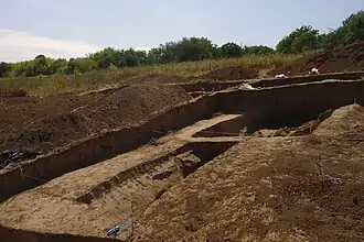 Раскопки летом 2017 года