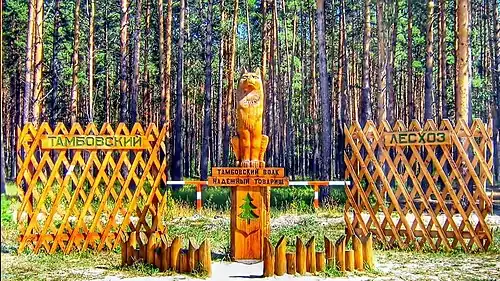 Памятник тамбовскому волку установлен в 2008 году. У лап серого вырезана надпись: «Тамбовский волк — надежный товарищ».