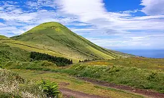 Пик в июле 2010 года