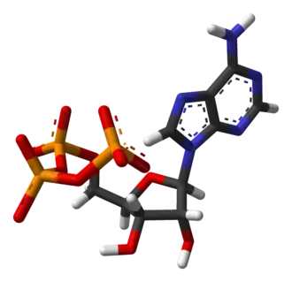 Изображение молекулярной модели