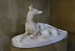 Сука грейхаунда со щенками