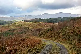 Окрестности Бетус-э-Коид