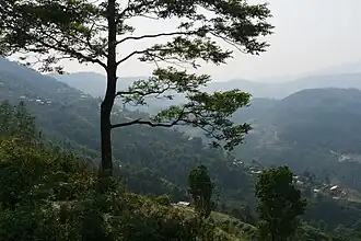 Виды на туристической тропе Nagarkot panoramic hiking trail