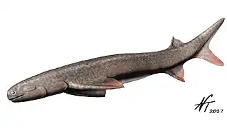 Реконструкция Acanthodes bronni