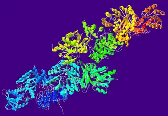 Структура ацетальдегид дегидрогеназы из Pseudomonas sp.