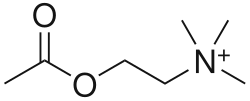 лат. Acetylcholine