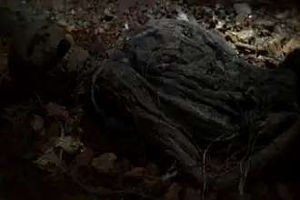 Найденные скелеты «Адама» и «Евы».