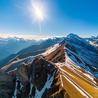 Скриншот программы Adobe Firefly