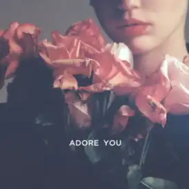 Обложка сингла Майли Сайрус «Adore You» (2013)