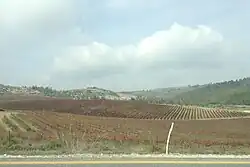 Поля на подъезде к Цфату