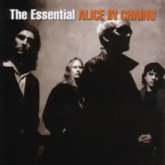 Обложка альбома Alice in Chains «The Essential Alice in Chains» (2006)