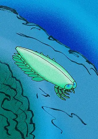 Реконструкция