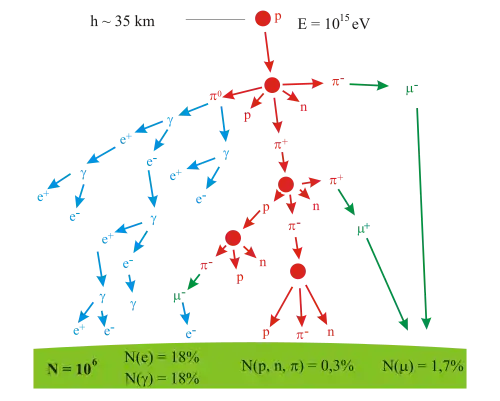 A branching tree representing the particle production
