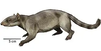 Реконструкция