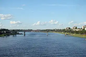 Вид на Мост Александра Невского с Пешеходного моста