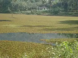 В африканском озере