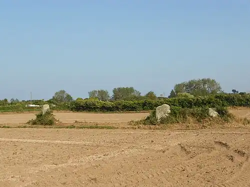 Ряд менгиров