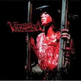 Обложка альбома Veil of Maya «All Things Set Aside» (2006)