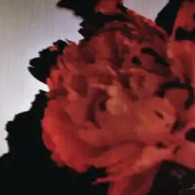 Обложка сингла Джона Ледженда «All of Me» (2013)