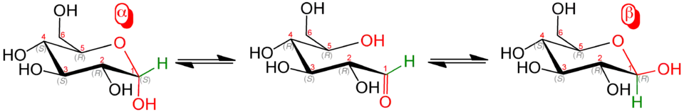 Равновесие между аномерами D-глюкозы
