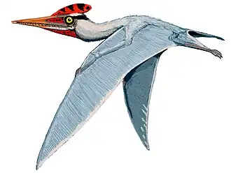 Altmuehlopterus rhamphastinus в представлении художника