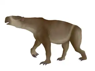 Реконструкция