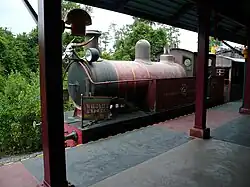 Wildlife Express Train