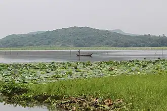 Вид на озеро летом 2017 года