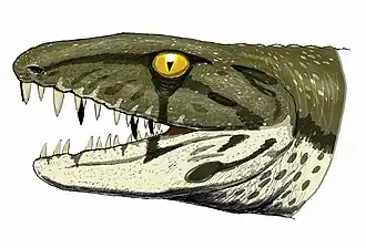 Антракозавр