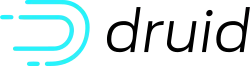 Логотип программы Apache Druid