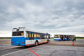 Перронные автобусы МАЗ-103  и МАЗ-171