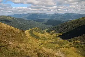 Пейзаж Апшинецкого заказника