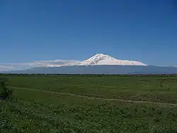 Араратская равнина