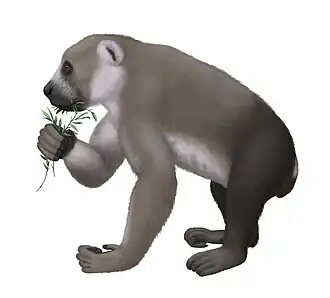 Археоиндри4 декабря 2018