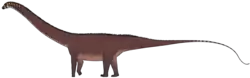 Ardetosaurus