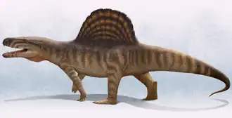 Реконструкция внешнего облика