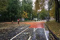 Проезд Сокольнического Круга вблизи 5-го Лучевого просека