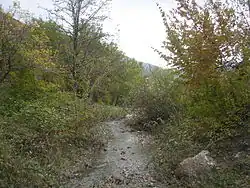 Река у села Зеленогорье