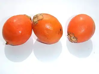 Плоды Авары