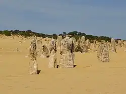 Пустыня усеяна многочисленными пиками-колоннами